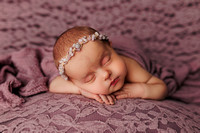 Charlotte-2