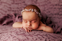 Charlotte's Newborn Session