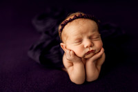 Quinn's Newborn Session