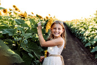 Triest Sunflower Session-2